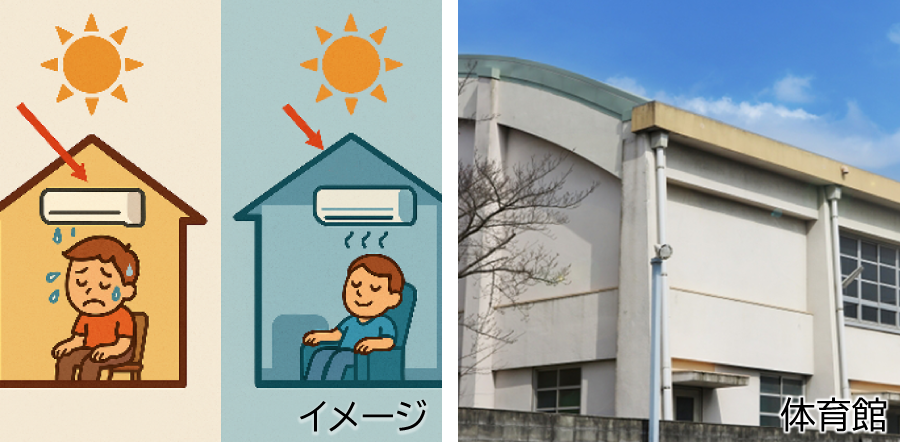 実績:体育館